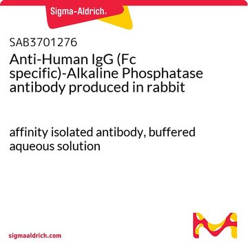 Anti-Human IgG (Fc specific)-Alkaline Phosphatase antibody produced in rabbit affinity isolated antibody, buffered aqueous solution