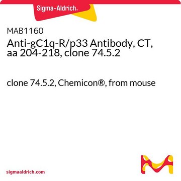 Anti-gC1q-R/p33 Antibody, CT, aa 204-218, clone 74.5.2 clone 74.5.2, Chemicon&#174;, from mouse