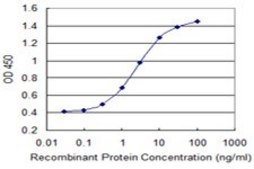 Monoclonal Anti-PPP1R2 antibody produced in mouse clone 2E9, purified immunoglobulin, buffered aqueous solution