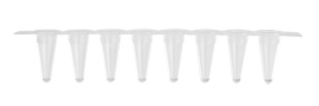 Axygen low profile 0.1 mL thin wall PCR strip tubes clear