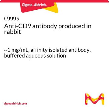 抗-CD9 兔抗 ~1&#160;mg/mL, affinity isolated antibody, buffered aqueous solution