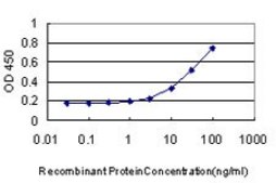 Monoclonal Anti-CDCA3 antibody produced in mouse clone 4A10, purified immunoglobulin, buffered aqueous solution