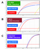 GenElute™ FFPE RNA/DNA纯化试剂盒