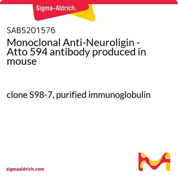 Monoclonal Anti-Neuroligin - Atto 594 antibody produced in mouse clone S98-7, purified immunoglobulin