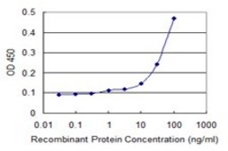 Monoclonal Anti-SSH1 antibody produced in mouse clone 2F9, purified immunoglobulin, buffered aqueous solution