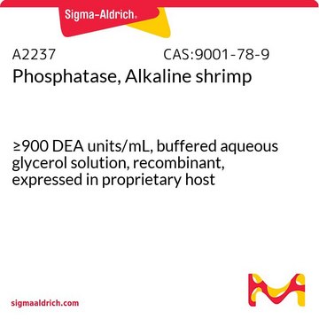 磷酸酶，碱性虾 &#8805;900&#160;DEA units/mL, buffered aqueous glycerol solution, recombinant, expressed in proprietary host