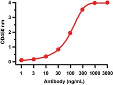 Anti-SARS-CoV-2 (COVID-19) NSP10 antibody produced in rabbit affinity isolated antibody