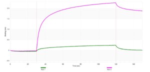 Anti-NUCB1 Antibody, clone 1F16 ZooMAb® Rabbit Monoclonal recombinant, expressed in HEK 293 cells