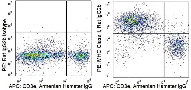 Anti-Mouse MHCII/I-A (NIMR-4) ColorWheel&#174; Dye-Ready mAb