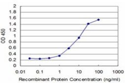 Monoclonal Anti-TP53RK antibody produced in mouse clone 2E8, purified immunoglobulin, buffered aqueous solution