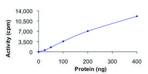 PLK3, active, GST tagged human PRECISIO®, recombinant, expressed in baculovirus infected Sf9 cells, ≥70% (SDS-PAGE), buffered aqueous glycerol solution