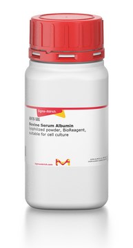 Bovine Serum Albumin lyophilized powder, BioReagent, suitable for cell culture