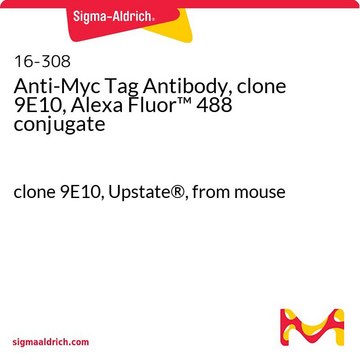 Anti-Myc Tag Antibody, clone 9E10, Alexa Fluor&#8482; 488 conjugate clone 9E10, Upstate&#174;, from mouse