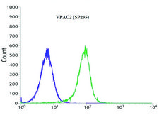 Anti-VPAC2 antibody, Rabbit monoclonal clone SP235, recombinant, expressed in proprietary host, affinity isolated antibody