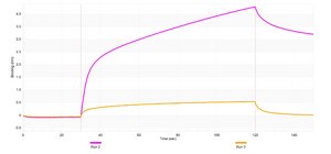 Anti-IRF-4 Antibody, clone 1E10 ZooMAb® Rabbit Monoclonal recombinant, expressed in HEK 293 cells