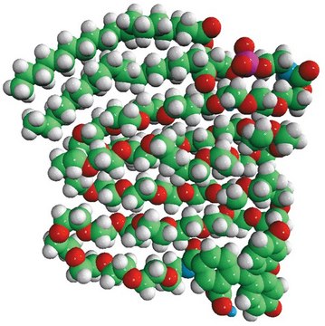 18:0 PEG2000 PE CF Avanti Polar Lipids 810120C