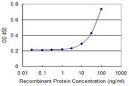 Monoclonal Anti-ASF1B antibody produced in mouse clone 1B12, purified immunoglobulin, buffered aqueous solution