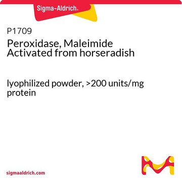 Peroxidase, Maleimide Activated from horseradish lyophilized powder, &gt;200&#160;units/mg protein