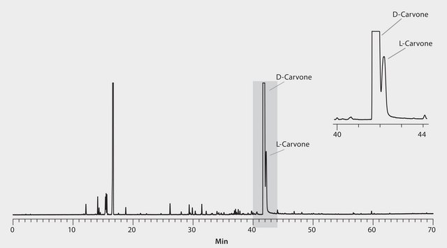 GC Analysis of D &amp; L-Carvone Enantiomers in Caraway Essential Oil (Spiked with L-Carvone Enantiomer) on Astec&#174; CHIRALDEX&#8482; G-TA suitable for GC