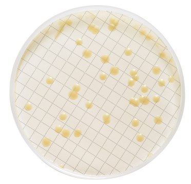 Milliflex 滤芯 Tryptic Soy Agar, Polysorbate 80, Lecithin, for heterotrophic bacteria, pack of 48, suitable for bioburden testing