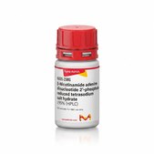 β-烟酰胺腺嘌呤二核苷酸2′-磷酸，还原型 四钠盐 水合物 ≥95% (HPLC)