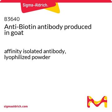 抗-生物素 山羊抗 affinity isolated antibody, lyophilized powder