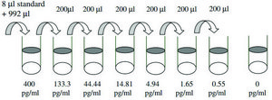Human FGF-7 ELISA Kit for serum, plasma, cell culture supernatant and urine