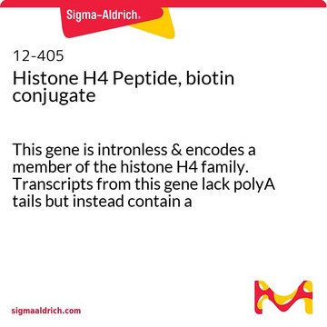 组蛋白H4多肽，生物素标记 This gene is intronless &amp; encodes a member of the histone H4 family. Transcripts from this gene lack polyA tails but instead contain a palindromic termination element.