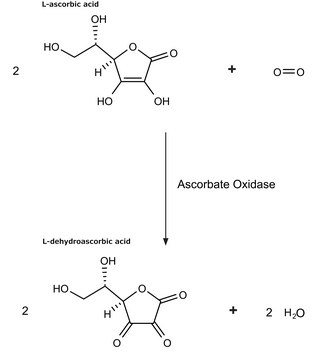 Ascorbate Oxidase from Cucurbita sp. lyophilized powder, 1,000-3,000&#160;units/mg protein