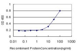 Monoclonal Anti-PHC1 antibody produced in mouse clone 3G1, purified immunoglobulin, buffered aqueous solution