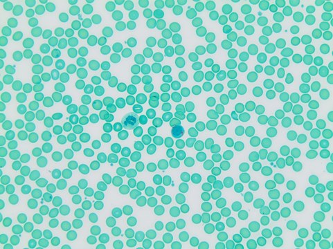 Lymphocyte &#945;-Naphthyl Butyrate Esterase Kit