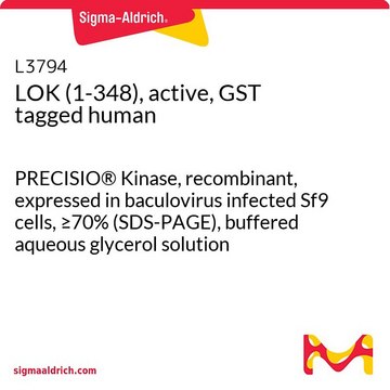 LOK (1-348), active, GST tagged human PRECISIO&#174; Kinase, recombinant, expressed in baculovirus infected Sf9 cells, &#8805;70% (SDS-PAGE), buffered aqueous glycerol solution