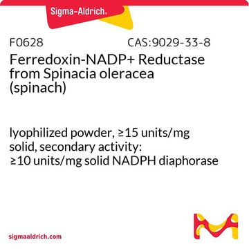 Ferredoxin-NADP+ Reductase from Spinacia oleracea (spinach) lyophilized powder, &#8805;15&#160;units/mg solid, secondary activity: &#8805;10&#160;units/mg solid NADPH diaphorase