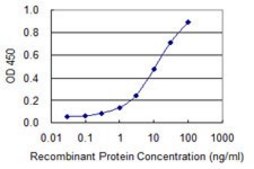 Monoclonal Anti-OSBPL8 antibody produced in mouse clone 4H6, purified immunoglobulin, buffered aqueous solution