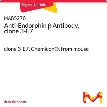 Anti-Endorphin &#946; Antibody, clone 3-E7 clone 3-E7, Chemicon&#174;, from mouse