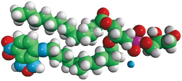 14:0-12:0 NBD PG Avanti Polar Lipids 810162P, powder