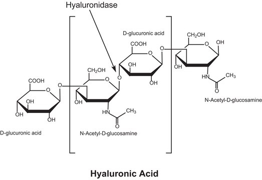 Hyaluronidase from Streptomyces hyalurolyticus