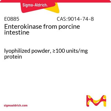 Enterokinase from porcine intestine lyophilized powder, &#8805;100&#160;units/mg protein