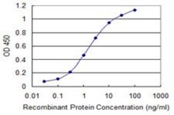 Monoclonal Anti-DHX8 antibody produced in mouse clone 1D6, purified immunoglobulin, buffered aqueous solution