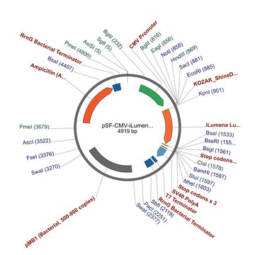 PSF-CMV-ILUMENA - MAMMALIAN SECRETED LUCIFERASE PLASMID plasmid vector for molecular cloning