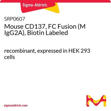 Mouse CD137, FC Fusion (M IgG2A), Biotin Labeled recombinant, expressed in HEK 293 cells