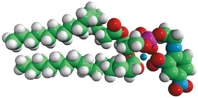 16:0 DNP PE 1,2-dipalmitoyl-sn-glycero-3-phosphoethanolamine-N-(2,4-dinitrophenyl) (ammonium salt), powder