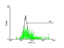 Anti-MRGPRX2 antibody produced in mouse purified immunoglobulin, buffered aqueous solution