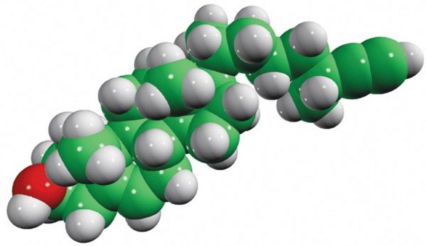 27-alkyne cholesterol Avanti Polar Lipids 700143P, powder