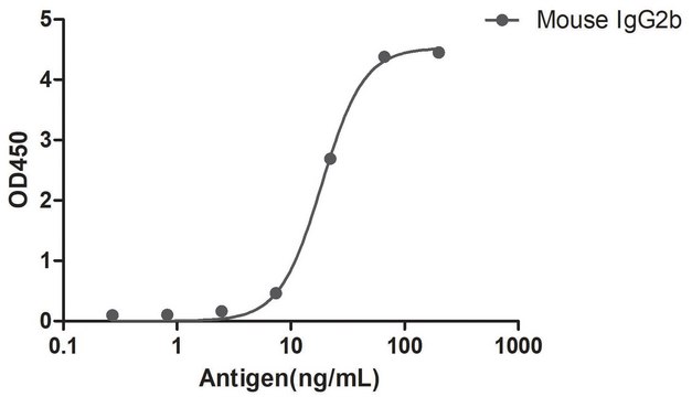 Alpaca Anti-Mouse IgG2b(Fc&#947;) HRP single domain Antibody recombinant Alpaca(VHH) Nano antibody