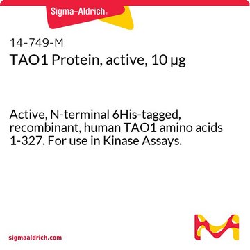 TAO1 Protein, active, 10 &#181;g Active, N-terminal 6His-tagged, recombinant, human TAO1 amino acids 1-327. For use in Kinase Assays.