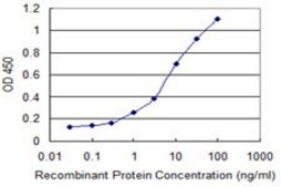 Monoclonal Anti-EIF4EBP1 antibody produced in mouse clone 1F7, purified immunoglobulin, buffered aqueous solution
