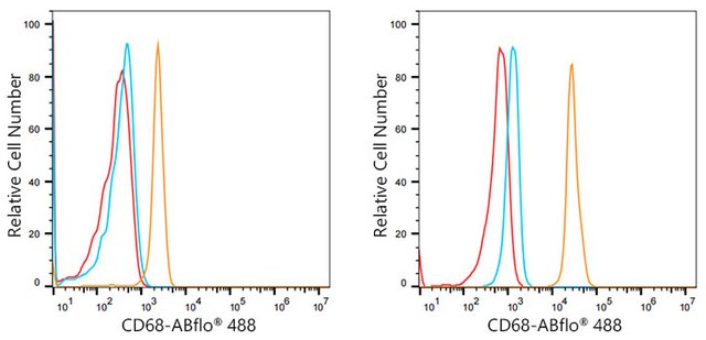 Anti-CD68 Antibody, clone 5S2F7, Rabbit Monoclonal