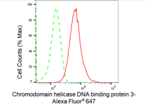 KD-Validated Anti Chromodomain helicase DNA binding protein 3 Antibody, clone 23GB1380, Rabbit Monoclonal clone 23GB1380, recombinant rabbit monoclonal, expressed in HEK293 cells