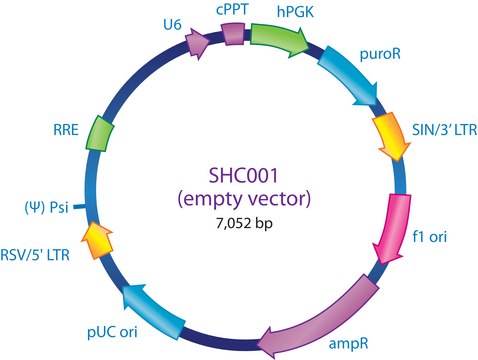 MISSION&#174;pLKO.1-puro空载体对照转导颗粒 Contains no shRNA insert